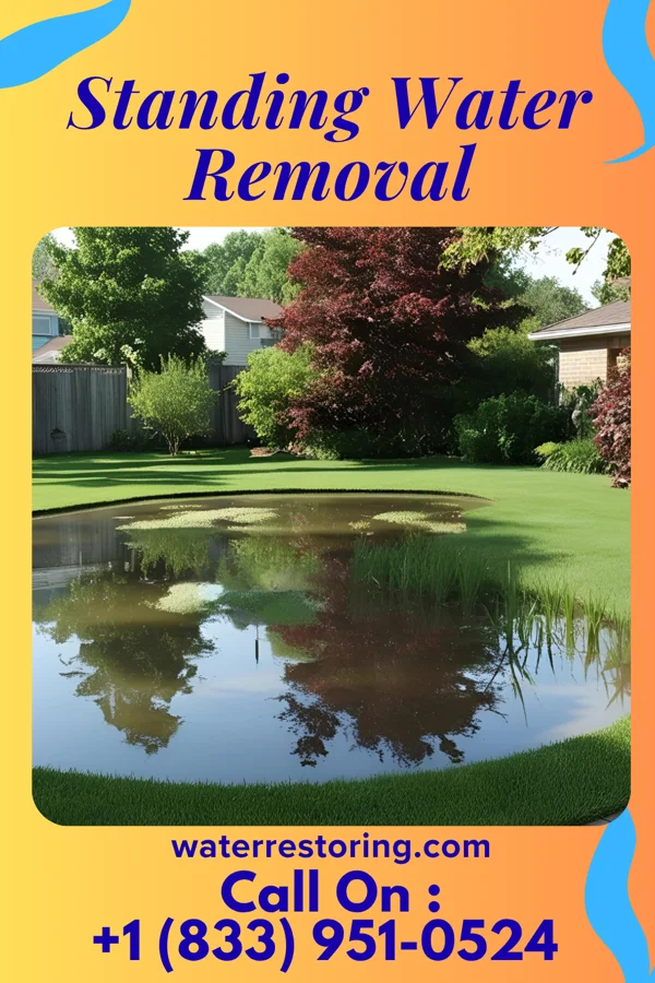 Standing Water Removal in Byron, IL
